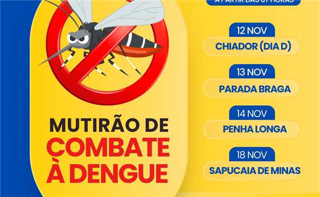 Mutirão contra a Dengue - Dia D